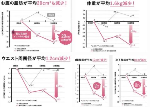 研究レビュー