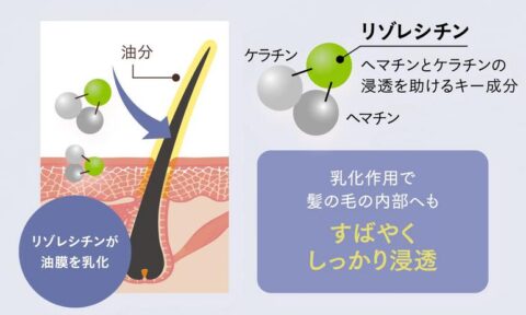 トリプルヘマチン設計