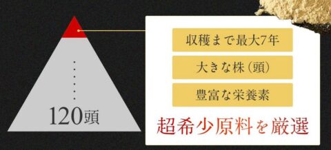 40頭 田七人参