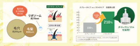 ナノ化 リポソーム