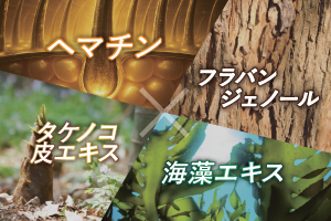 日本初 育毛成分処方