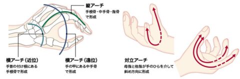 アーチ構造