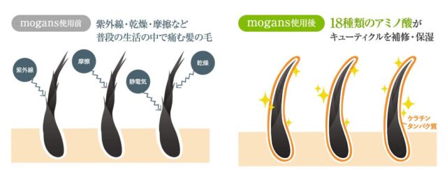 MOGANS モーガンズ 白樹シャンプー 白樹コンディショナー 特徴