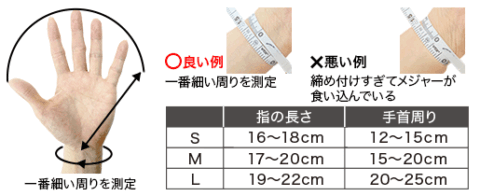 サイズ目安