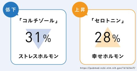 睡眠研究