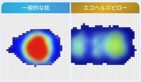 エコヘルス