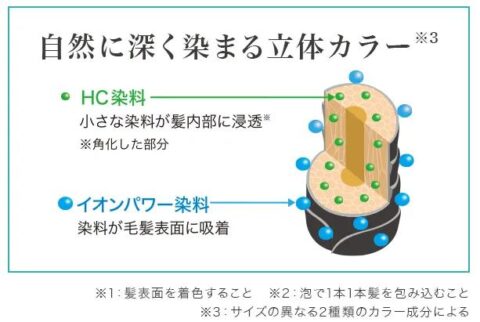 ヘアマニキュア