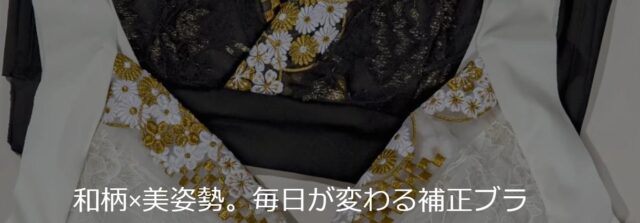 AIMJIS エイムジス 大和撫子 姿勢改善ブラ 特徴