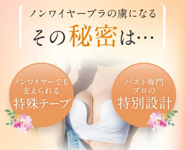 PGブラ ノンワイヤー 特徴
