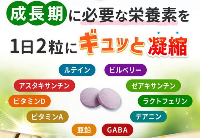 ノビルンC 特徴