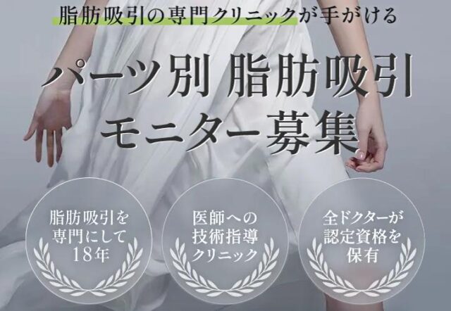 THE CLINIC ザ・クリニック 脂肪吸引 特徴