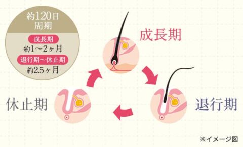 まつ毛ケア成分
