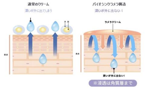 バイオシンクラメラ構造