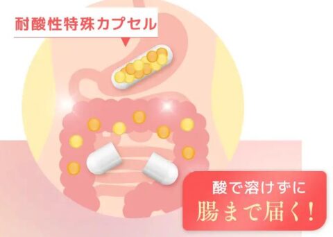 耐酸性カプセル
