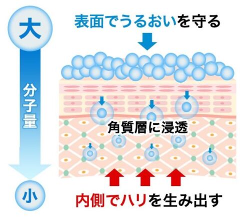 5-5-2 Active Moisturizingモイスチャーシステム