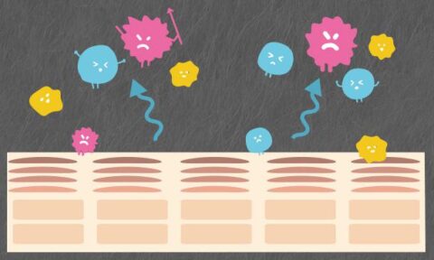 常在菌バランス