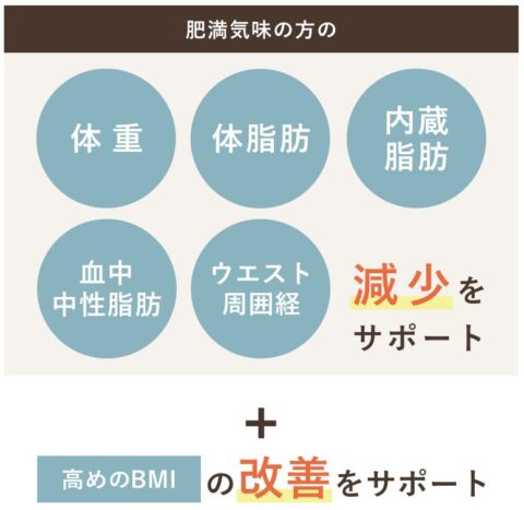 機能性表示食品