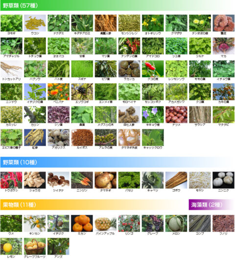 植物発酵エキス