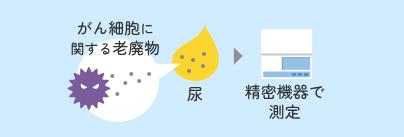 尿中の老廃物