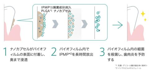 PLGAナノカプセル