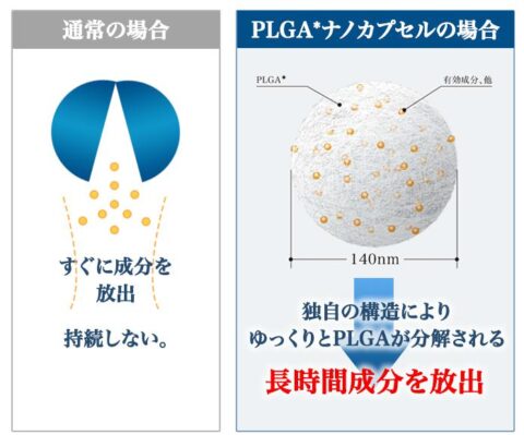 PLGAナノカプセル