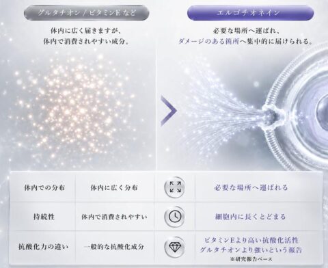 エルゴチオネイン