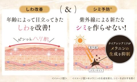 ナイアシンアミド