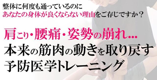 base BODY ベースボディ 特徴